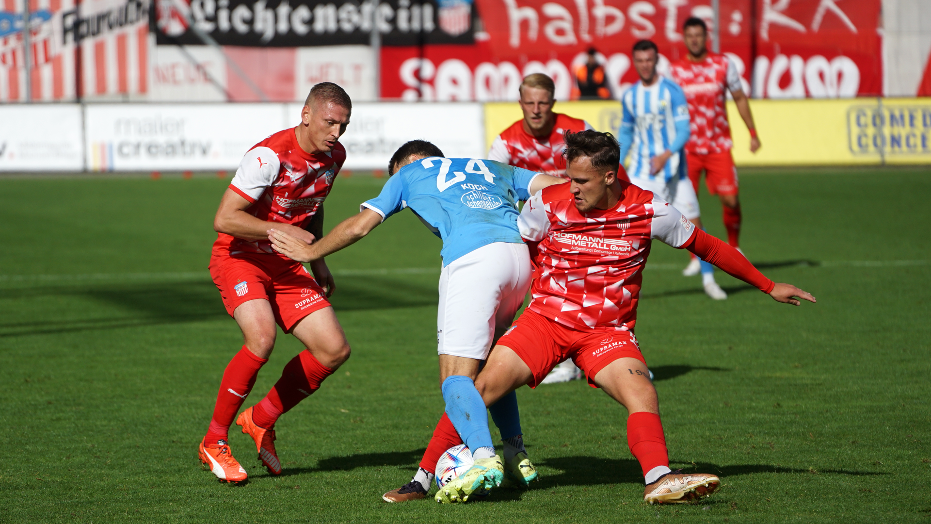 FSV Zwickau – Chemnitzer FC 1:2 (0:1) [10. Spieltag]