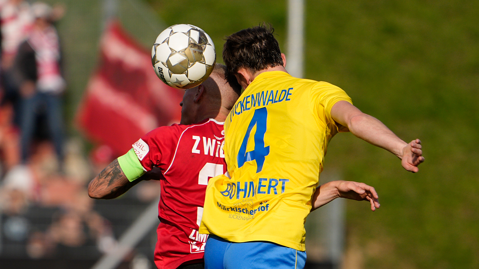 FSV Zwickau – FSV Luckenwalde 1:0 (0:0) [12. Spieltag]