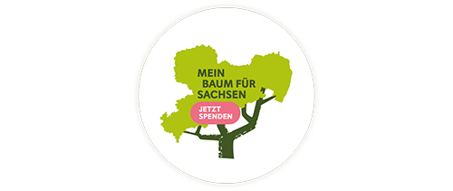 Stiftung Wald für Sachsen